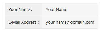 A table with two rows and two columns. The first row contains "Your Name:" in the first cell and "Your Name" in the second cell. The second row contains "E-Mail Address:" in the first cell and "your.name@domain.com" in the second cell, exemplifying sophisticated web design in Horsham.