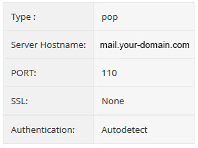 In our web design in Horsham project, a configuration table displays essential email settings: Type - pop, Server Hostname - mail.your-domain.com, PORT - 110, SSL - None, Authentication - Autodetect.